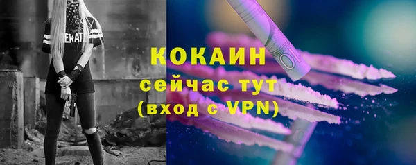 твердый Абинск
